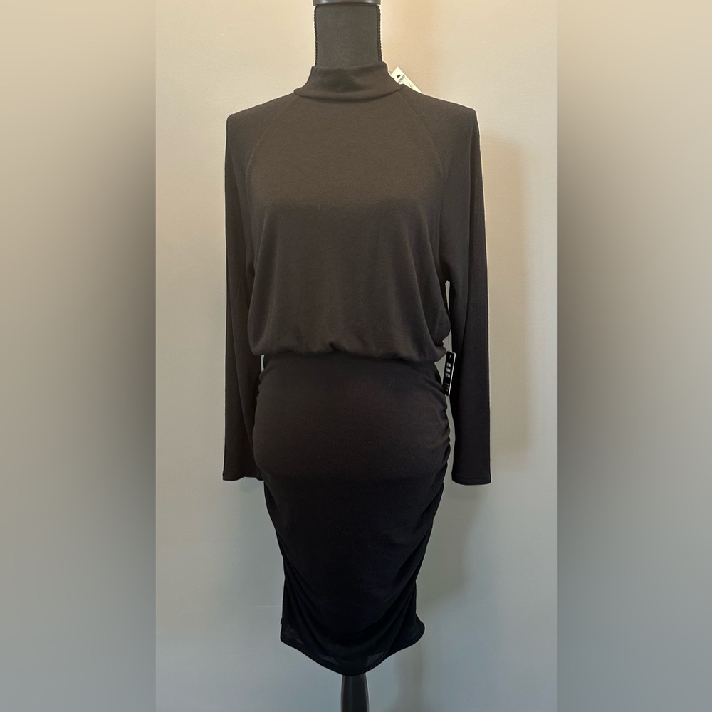 Express long sleeved fitted dress NWT